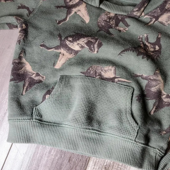 Wonder Nation Toddler Boy Hoodie and Joggers Set 2-Piece Size 12m Green Dino - Picture 14 of 14